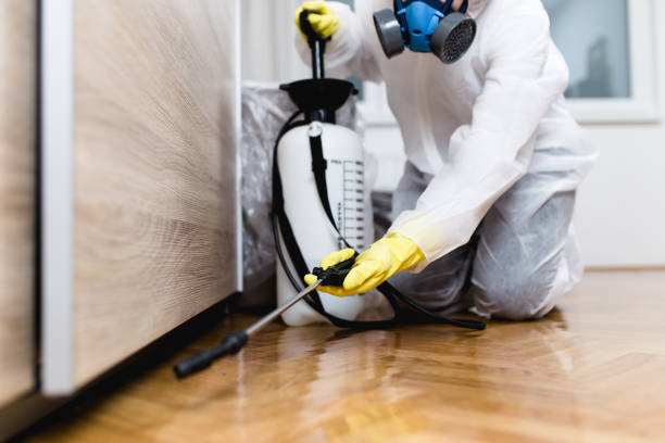 Insect Control in Palm Beach Gardens, FL