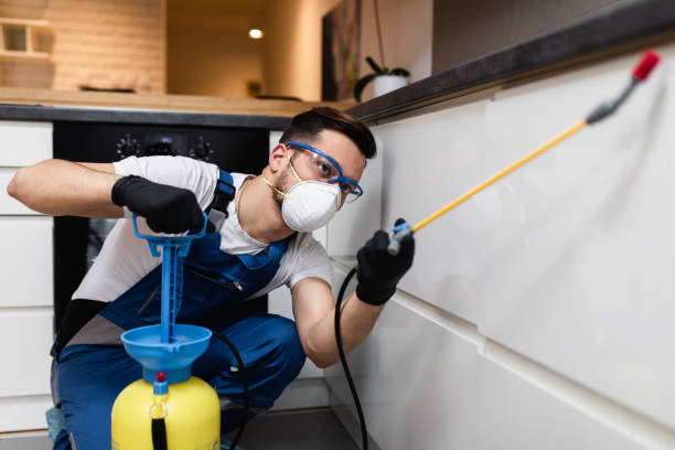 Best Affordable Pest Control Services  in Palm Beach Gardens, FL