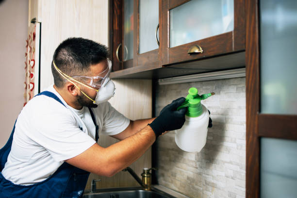 Best Emergency Pest Control  in Palm Beach Gardens, FL