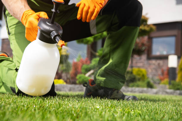 Best Mosquito Control Services  in Palm Beach Gardens, FL