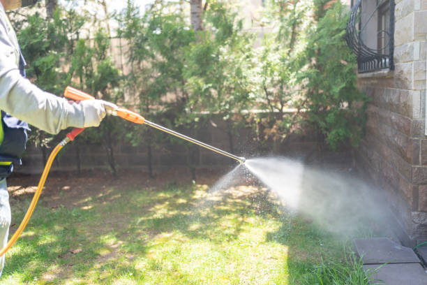 Professional Pest Control in Palm Beach Gardens, FL