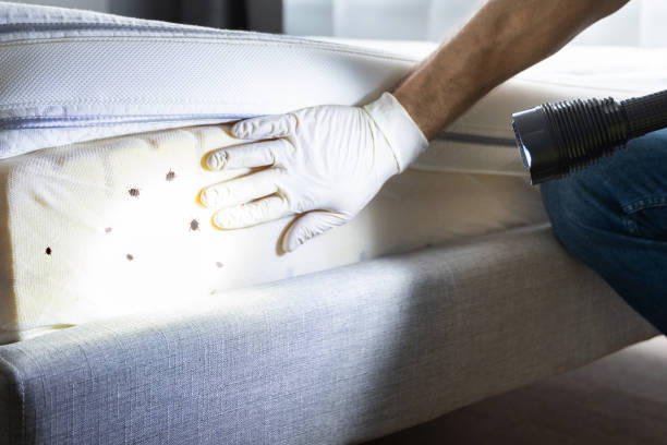Best Pest Prevention Services  in Palm Beach Gardens, FL
