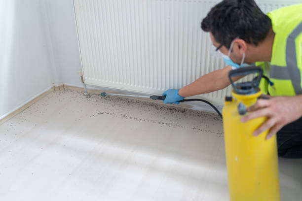 Best Rat Extermination Near Me  in Palm Beach Gardens, FL
